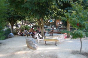 09 